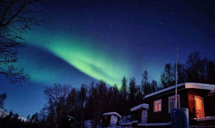 Cozy And Spacious Cabin Svensby Экстерьер фото